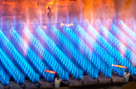 Cwmcarvan gas fired boilers